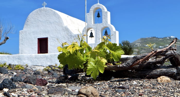 Greek Islands, a paradise for wine lovers