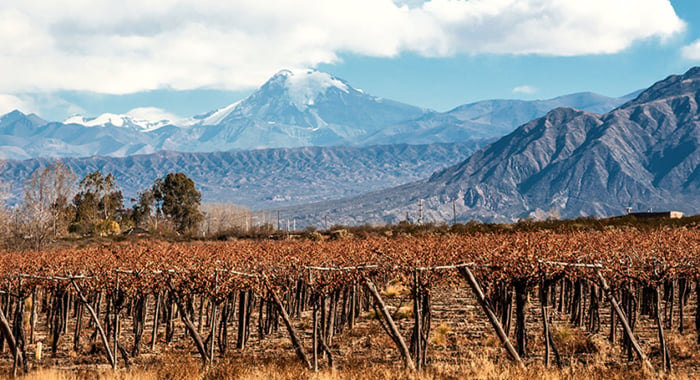 Wine holidays in Mendoza